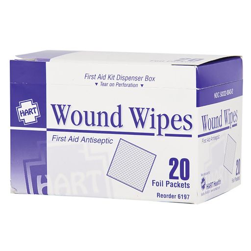 Antiseptic Wipes, 20 Per Box